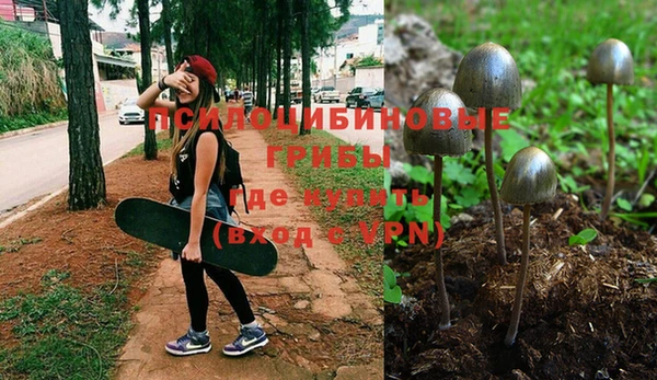хмурый Нягань