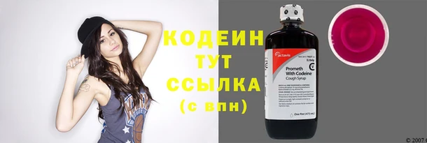 хмурый Нягань