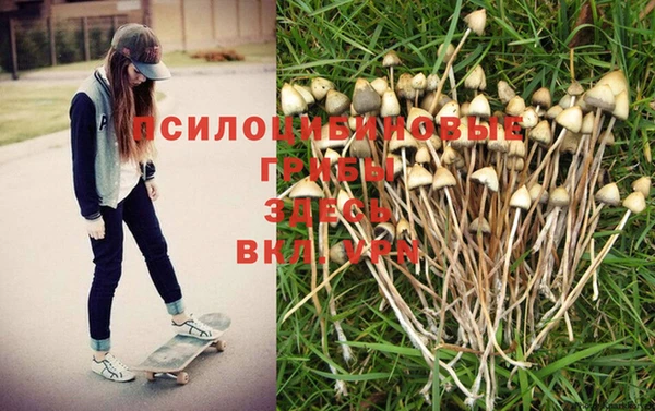 COCAINE Новозыбков