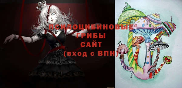 хмурый Нягань