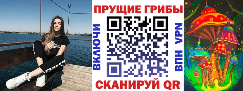 Псилоцибиновые грибы Cubensis  Калязин 